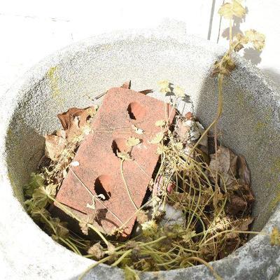 Outside: Vintage Cement Planters