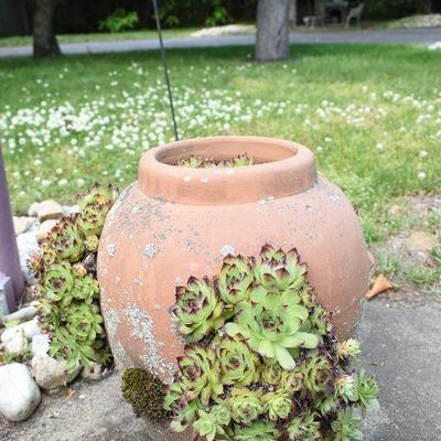 Outside: Planter
