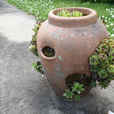 Outside: Planter