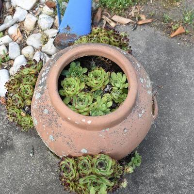Outside: Planter