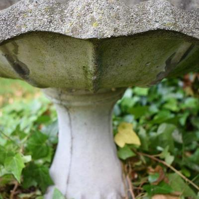 Outside: Cement Birdbath