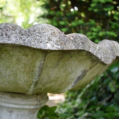 Outside: Cement Birdbath