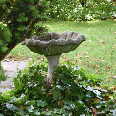 Outside: Cement Birdbath