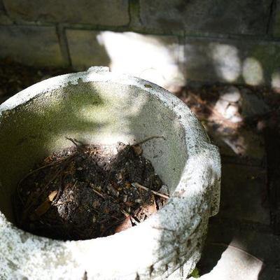 Outside: Vintage Cement Planter
