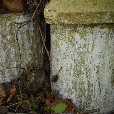 Outside: Cement Decor