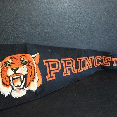 D Lot 238: Princeton Pennant and More