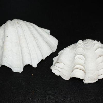 D Lot 246: Decor