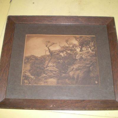 Framed Vintage Print