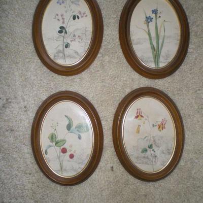 Framed Oval Prints