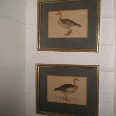 Vintage Framed Prints