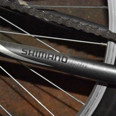 G Lot 52: Nishiki Tamarack 18" Frame Bike