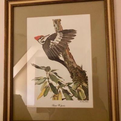 Sallie Ellington Middleton Pileated Woodpecker