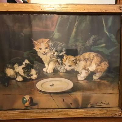 Antique Cat Kitten print. Older frame 
