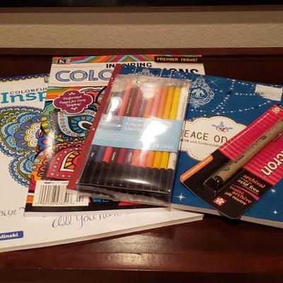 Lot 12: Adult Coloring Books with Colored Pencils & Pen