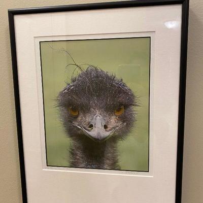 Art - Framed, Emu