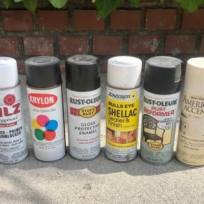 Spray paint lot