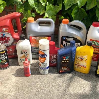 Car care lot: anti freeze, engine oil, engine cleaner, brake cleaner, transmission fluid, and others.