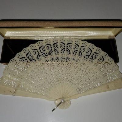 Beautiful Fan