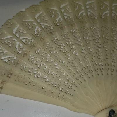 Beautiful Fan