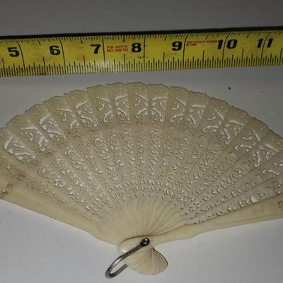 Beautiful Fan