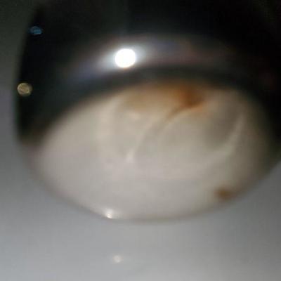 3 International Silver Company Cups