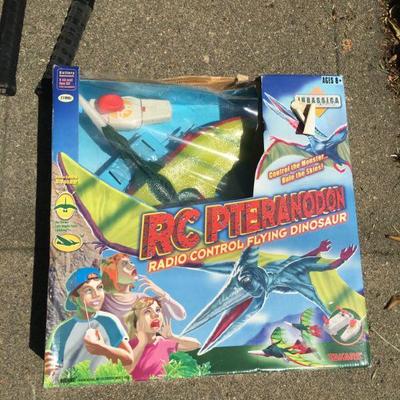 Radio control flying dinosaur!