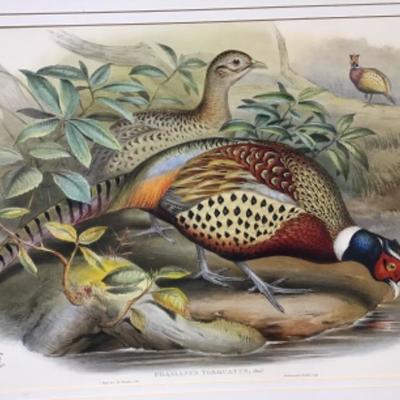 Print Framed No Glass