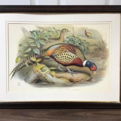 Print Framed No Glass