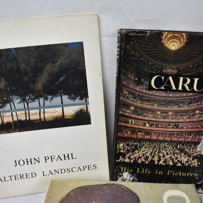 6 Art History Books: Altered Landscapes, Caruso, King Tut, CHarlotte, Art, Films