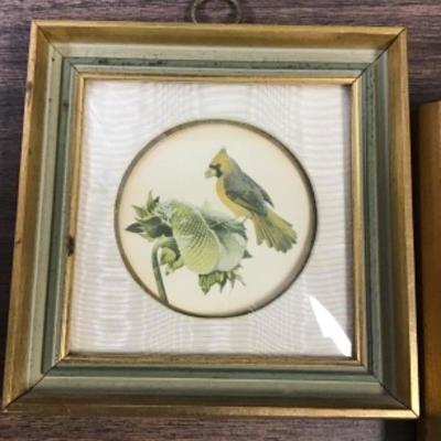 Vintage Collotype  Pair Framed Birds