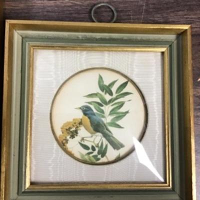 Vintage Collotype  Pair Framed Birds
