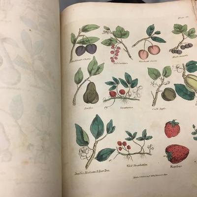 Antique Book Culpeper's Complete Herbal Medicine Guide 1823 London Thomas Kelly