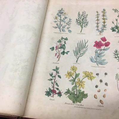 Antique Book Culpeper's Complete Herbal Medicine Guide 1823 London Thomas Kelly