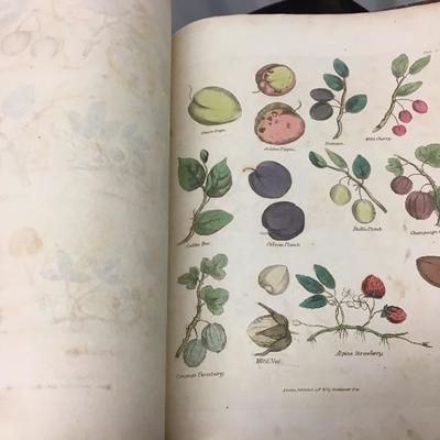 Antique Book Culpeper's Complete Herbal Medicine Guide 1823 London Thomas Kelly