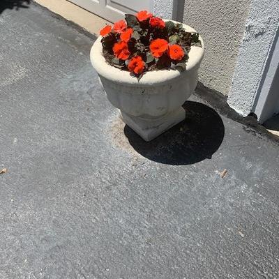 White Low Cement Planter $60 Each