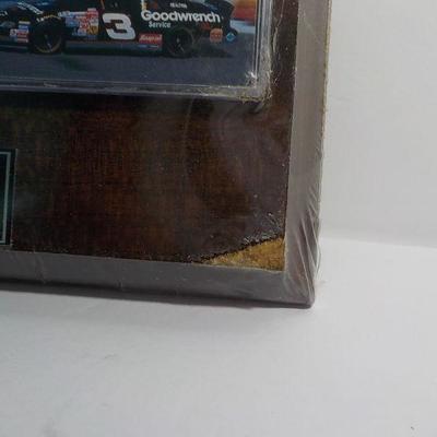 Dale Earnhart Picture plaque .