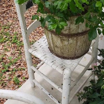Vintage Chairs/Plants Lot