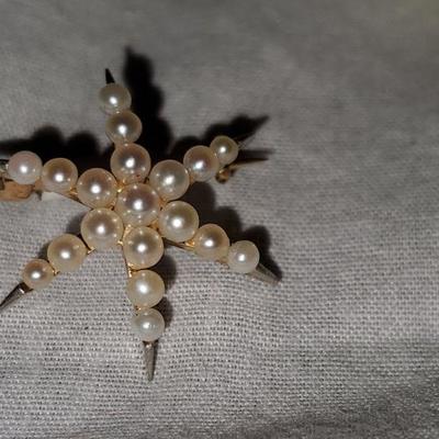 14K and Pearl Star Pin