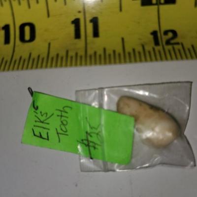 Tooth