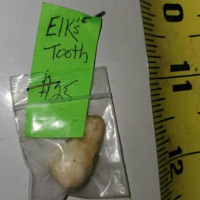 Tooth