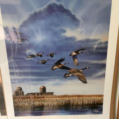 Canadian Geese wildlife print