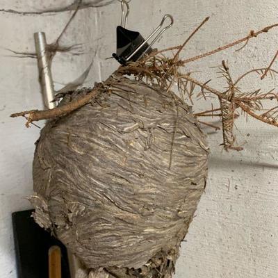 Vintage hornets nest