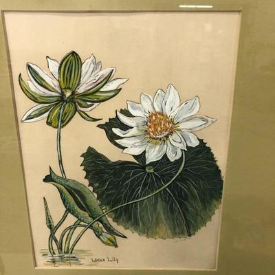Gouache or Water Color Painting of Water Lily signed date