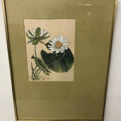 Gouache or Water Color Painting of Water Lily signed date