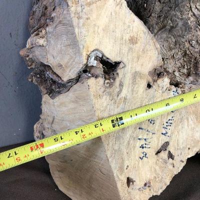 #217  Large Chunk of Burl Wood