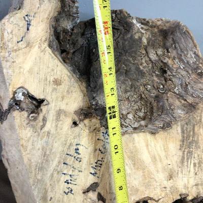 #217  Large Chunk of Burl Wood