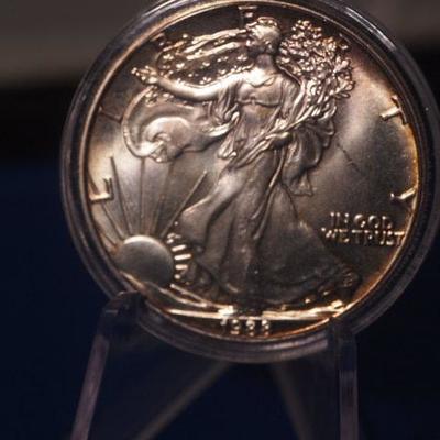1999 Silver American Eagle    101