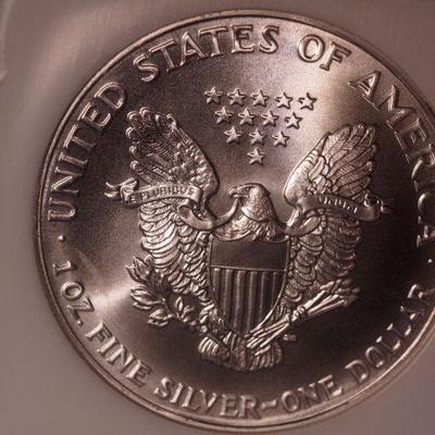 1991 Silver American Eagle  102