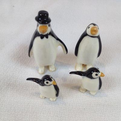 Miniature Penquin Family