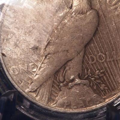 1934 Peace Silver Dollar  118